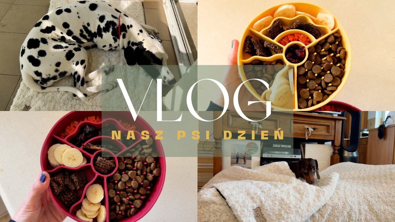 Nowe legowisko, jamnik w czapeczce i kawa pistacjowa | Vlog