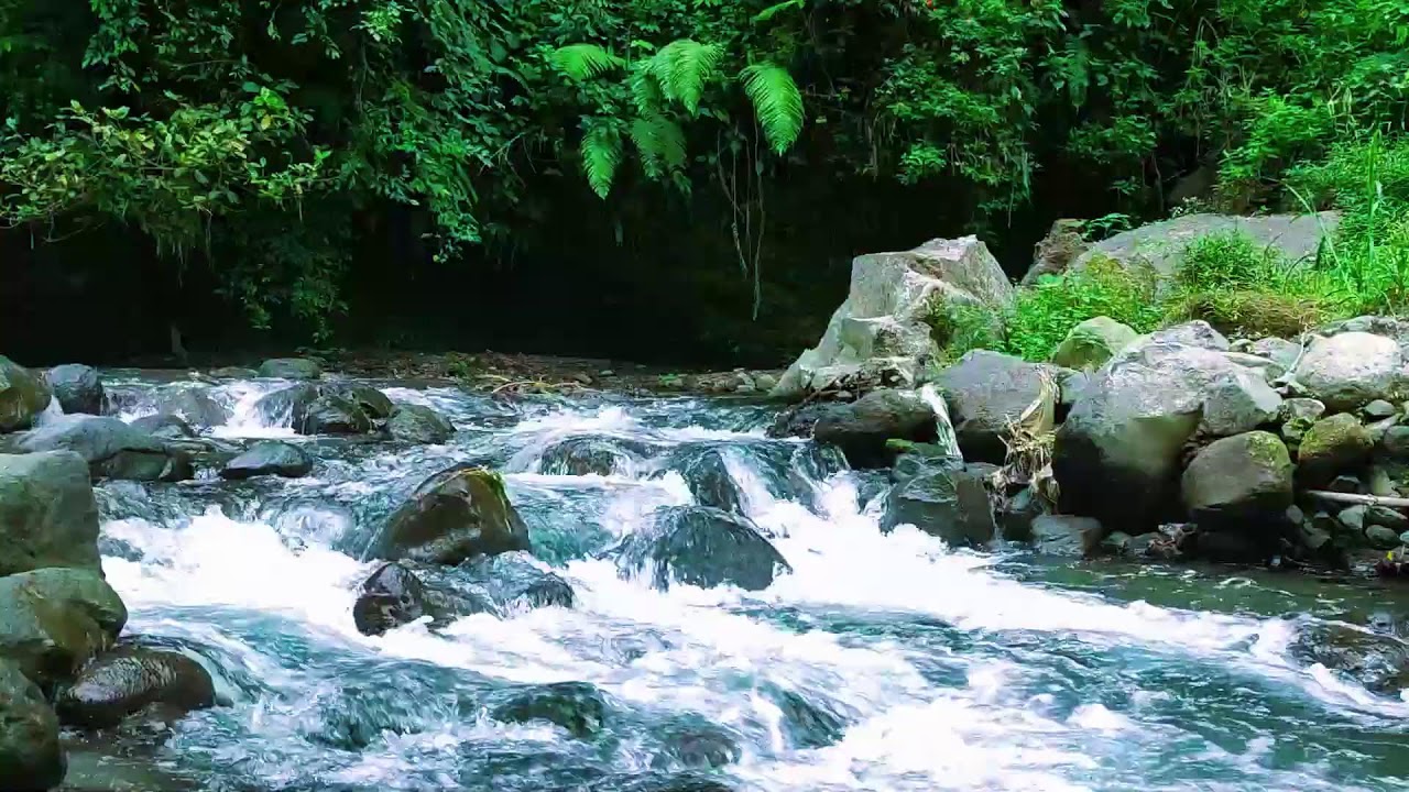 Mighty River Ambience  10 Hours Natural White Noise for Deep Rest