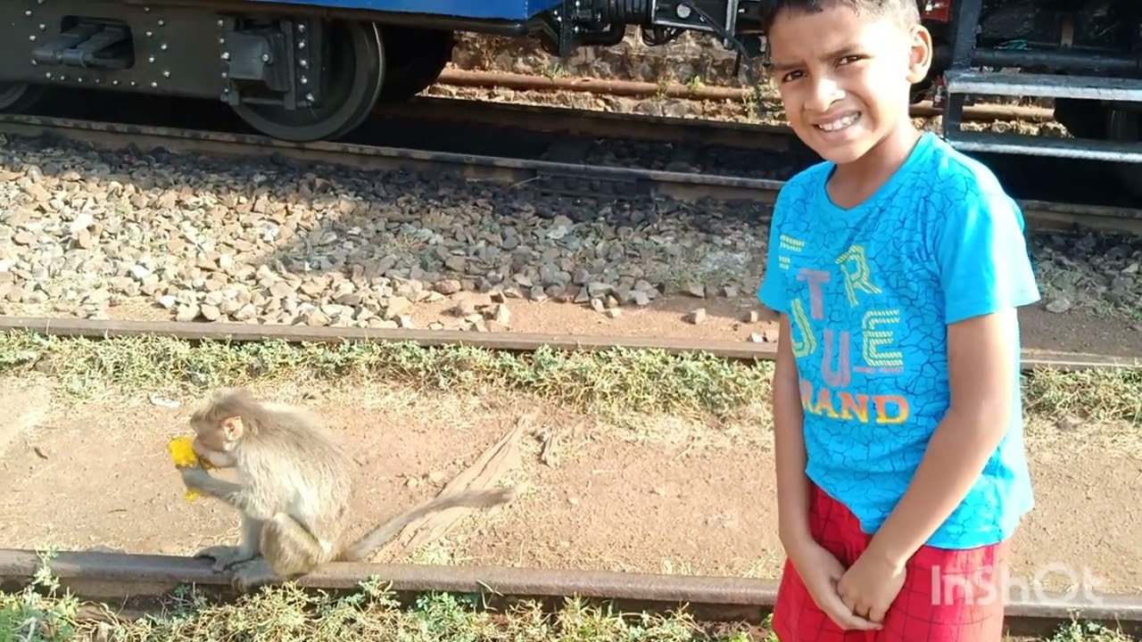 The Nilgiri Mountain Railway 