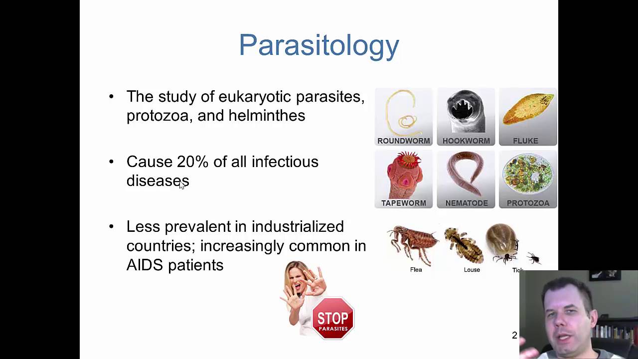 Chapter 23 - The Parasites of Medical Importance