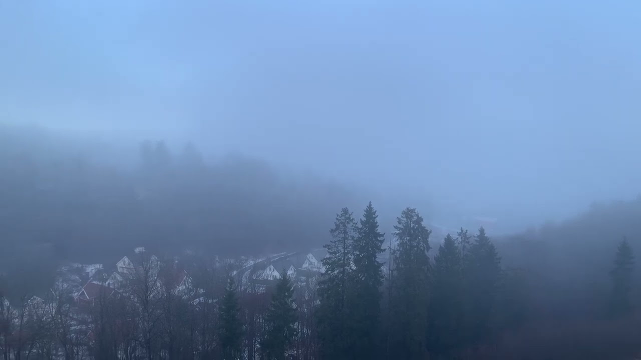 Foggy weather in Norway 🇳🇴 