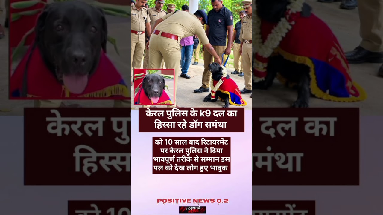 खबर केरल.. #localstarbinit #goodnews #news #sehar #facts #shortsfeed #motivation #amazingfacts