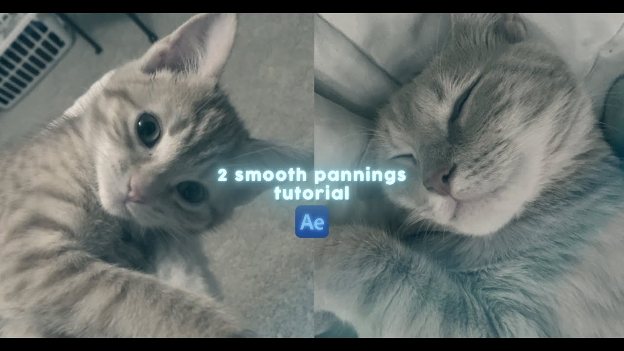 wiggle + s_shake panning || after effects tutorial
