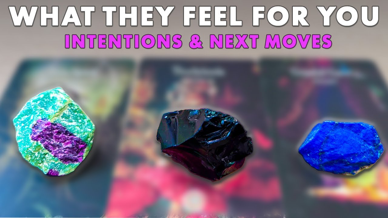 What They Feel for You 💜 Their Intentions  &  Next Actions | Pick A Card • Tarot Reading • Timeless