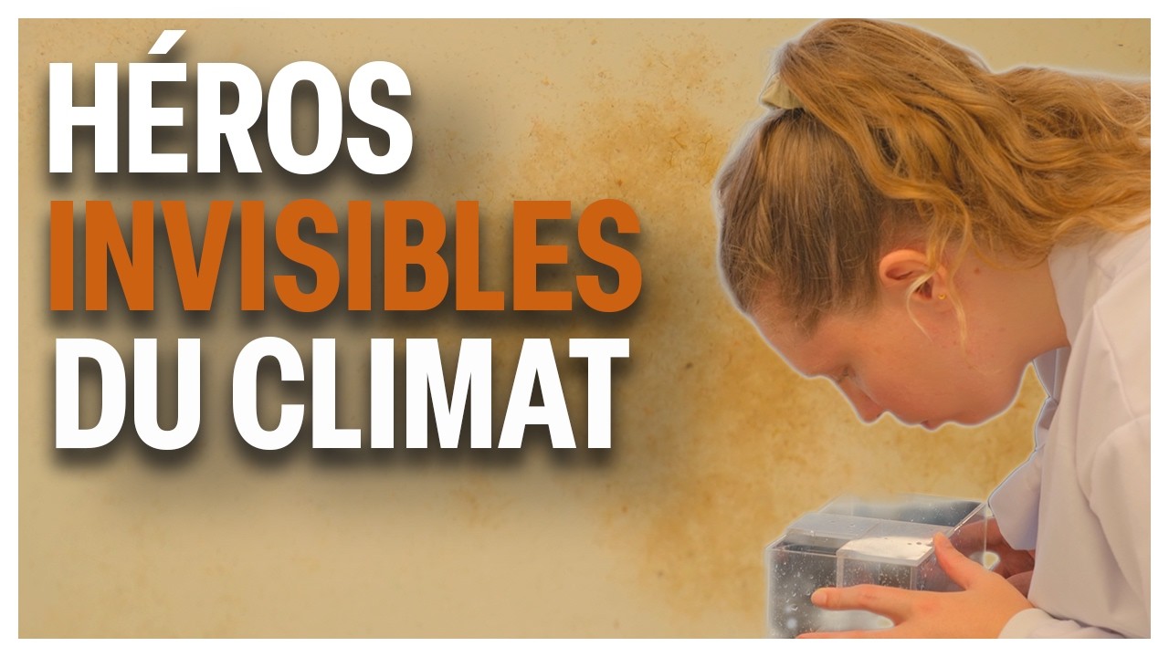 Le plancton, gardien invisible du climat