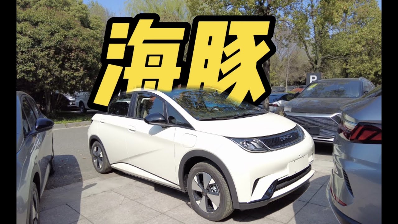 新八评 2023款420km海豚时尚版：非常详尽的更新点分析