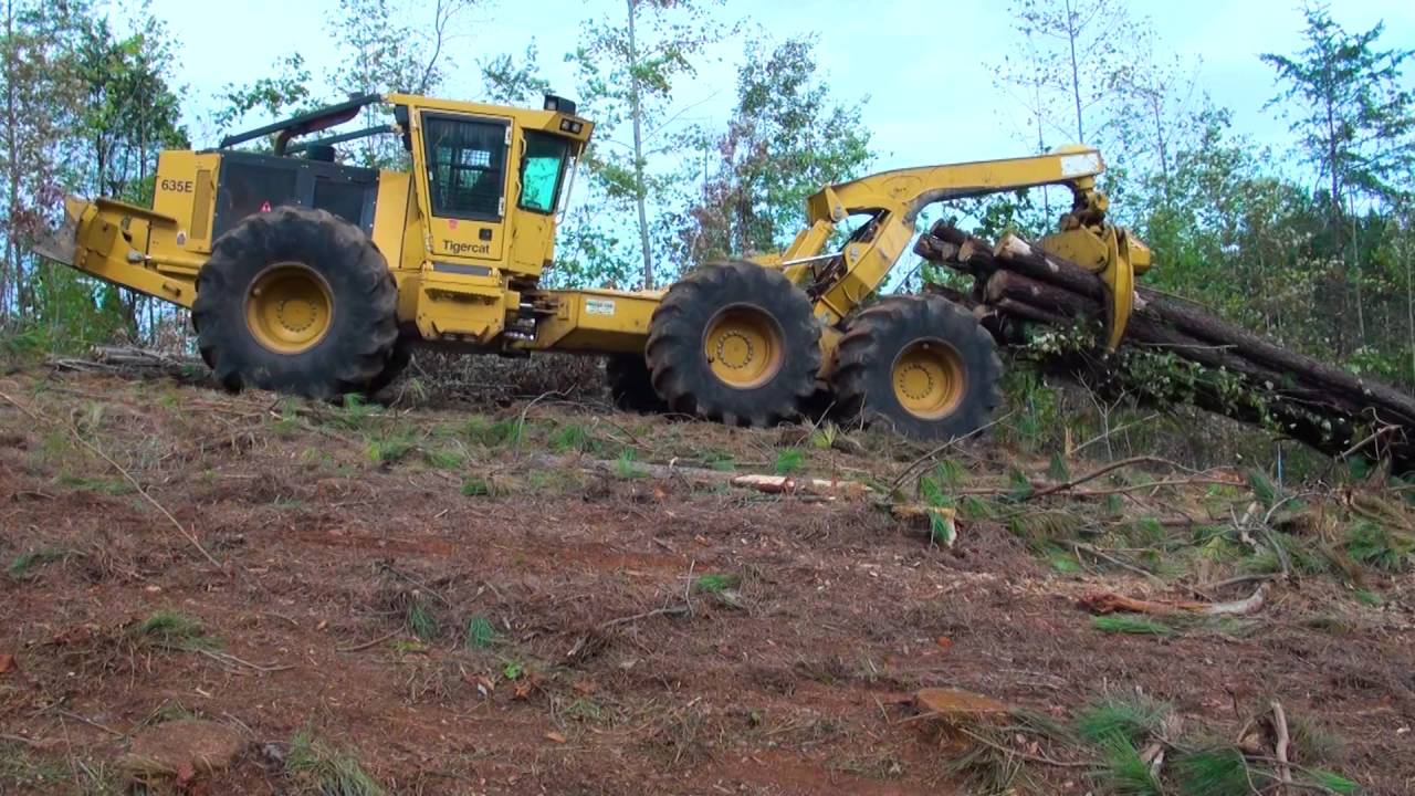 Tigercat Forestry 2016