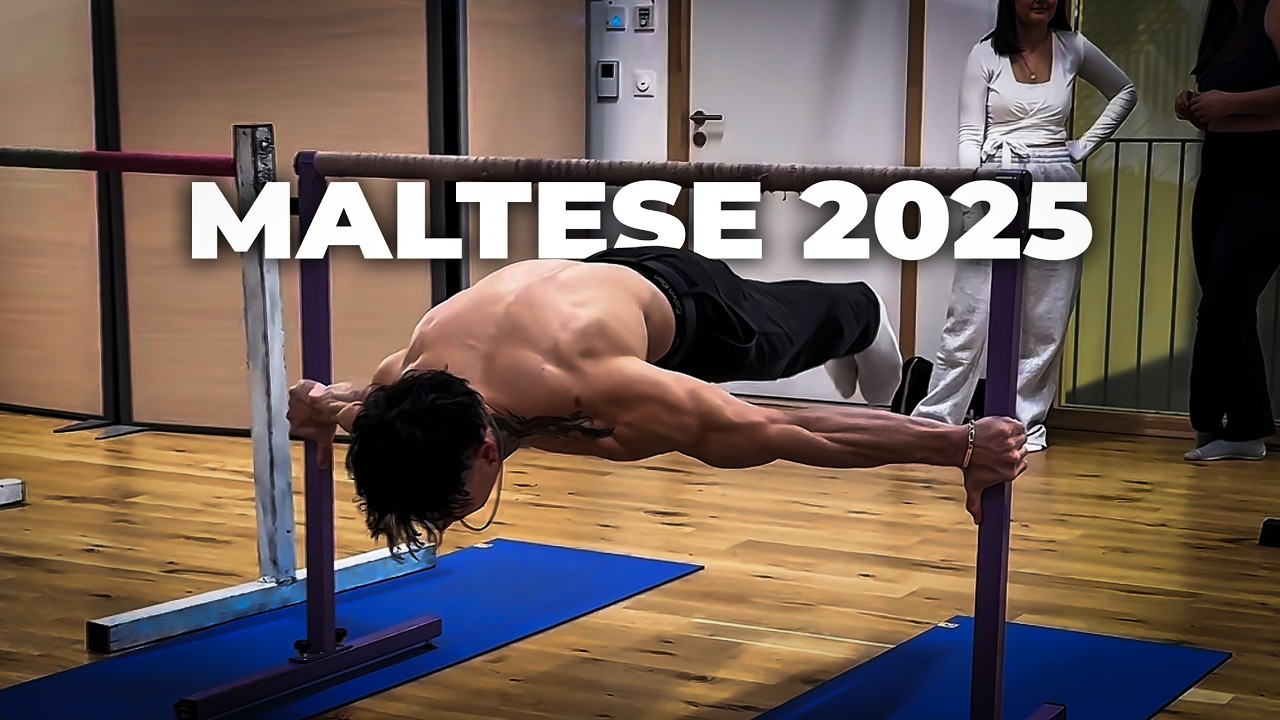 MALTESE EVERYWHERE 2025 DA&Iuml;-LONG