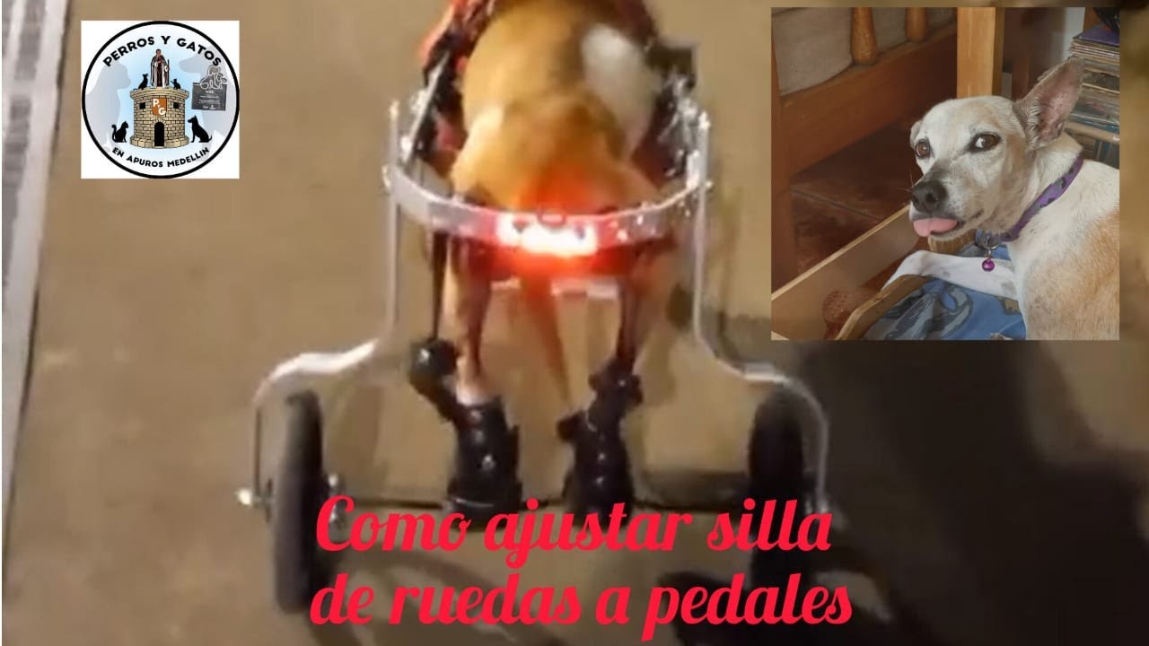 COMO AJUSTAR NUESTRA SILLA DE RUEDAS A PEDALES