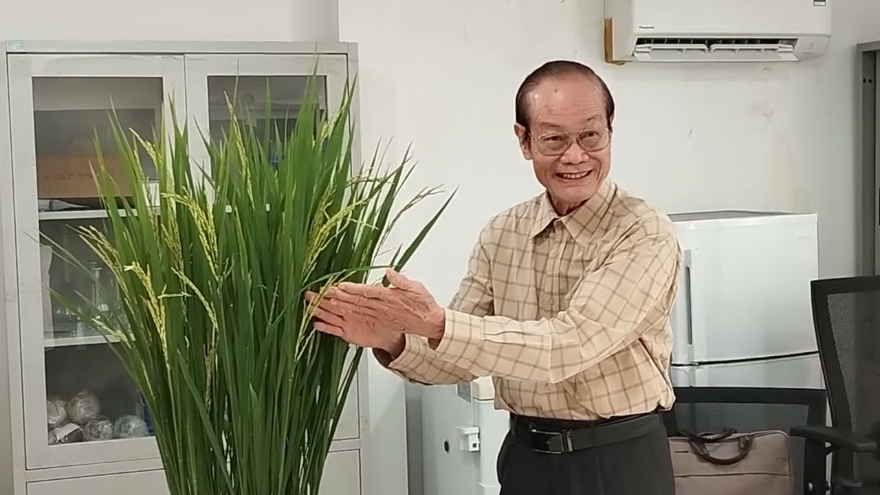 Giáo sư Tiến sỹ Nguyễn Bảo Vệ nói: lý do chăm sóc lúa trổ đồng loạt | Reflect Xtra 325SC | Incipio |