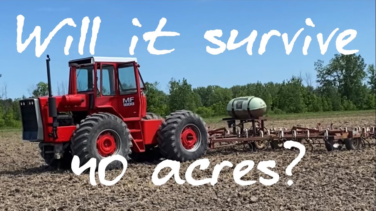 Первые 40 акров за 20 лет! Выживет ли свежепокрашенный Massey 1800?