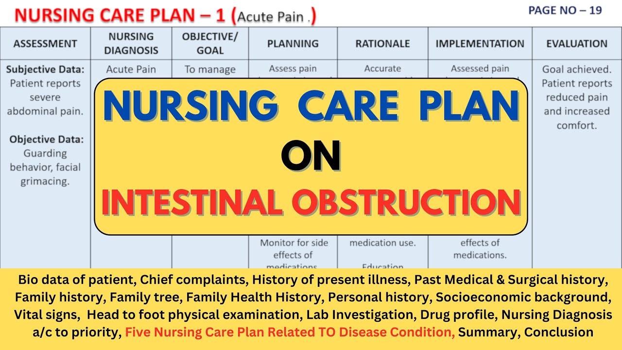 Nursing Care Plan On Intestinal Obstruction | NCP on Intestinal Obstruction | Intestinal Obstruction
