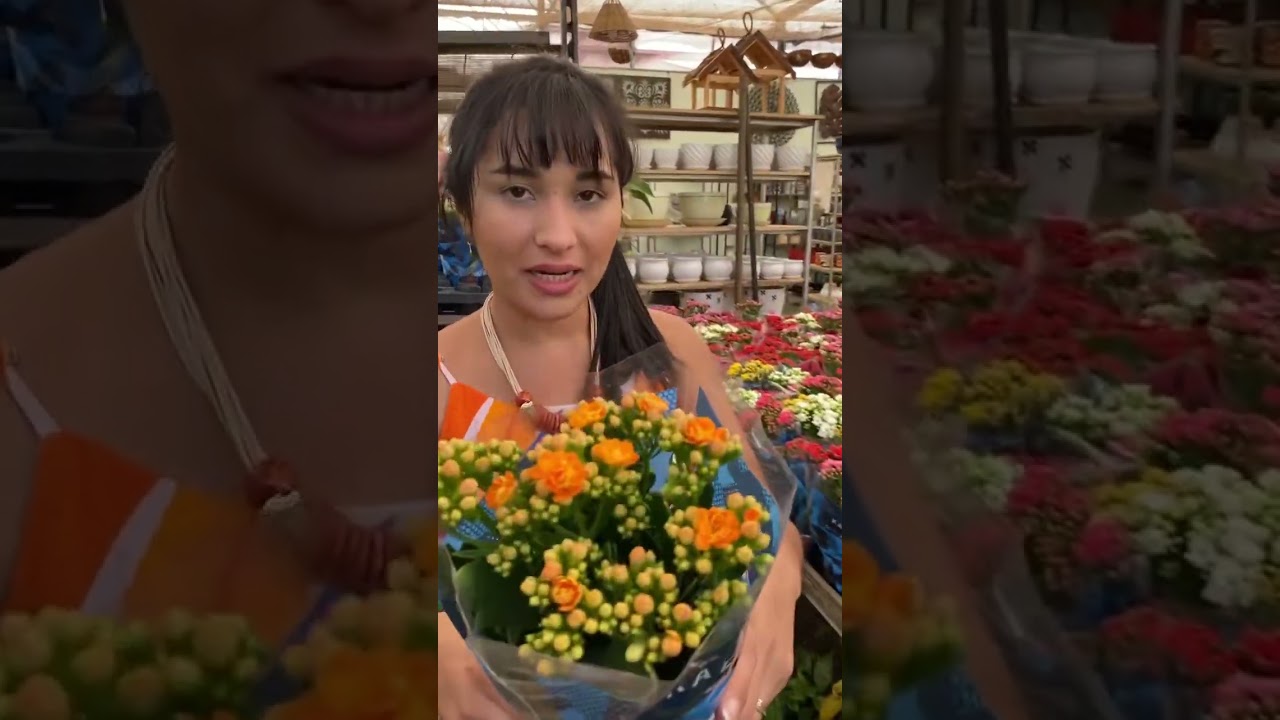Quanto custa flores em Holambra