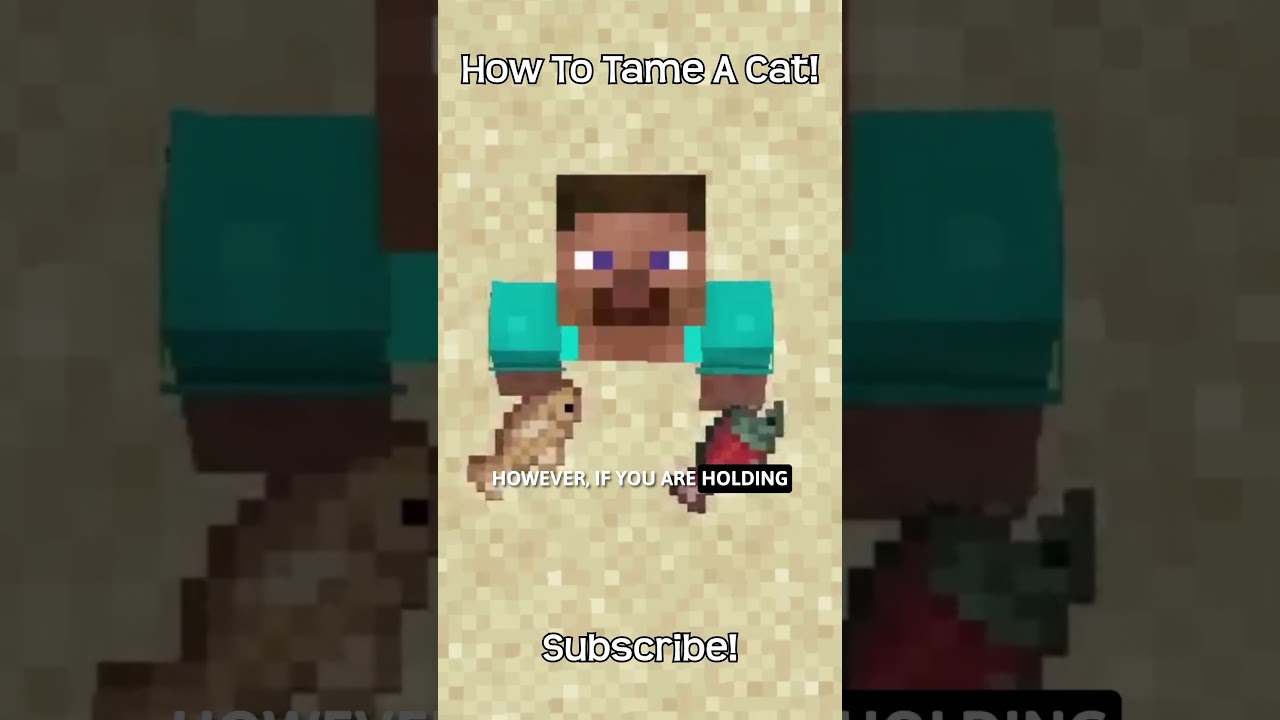 How To Tame A Cat In Minecraft?!