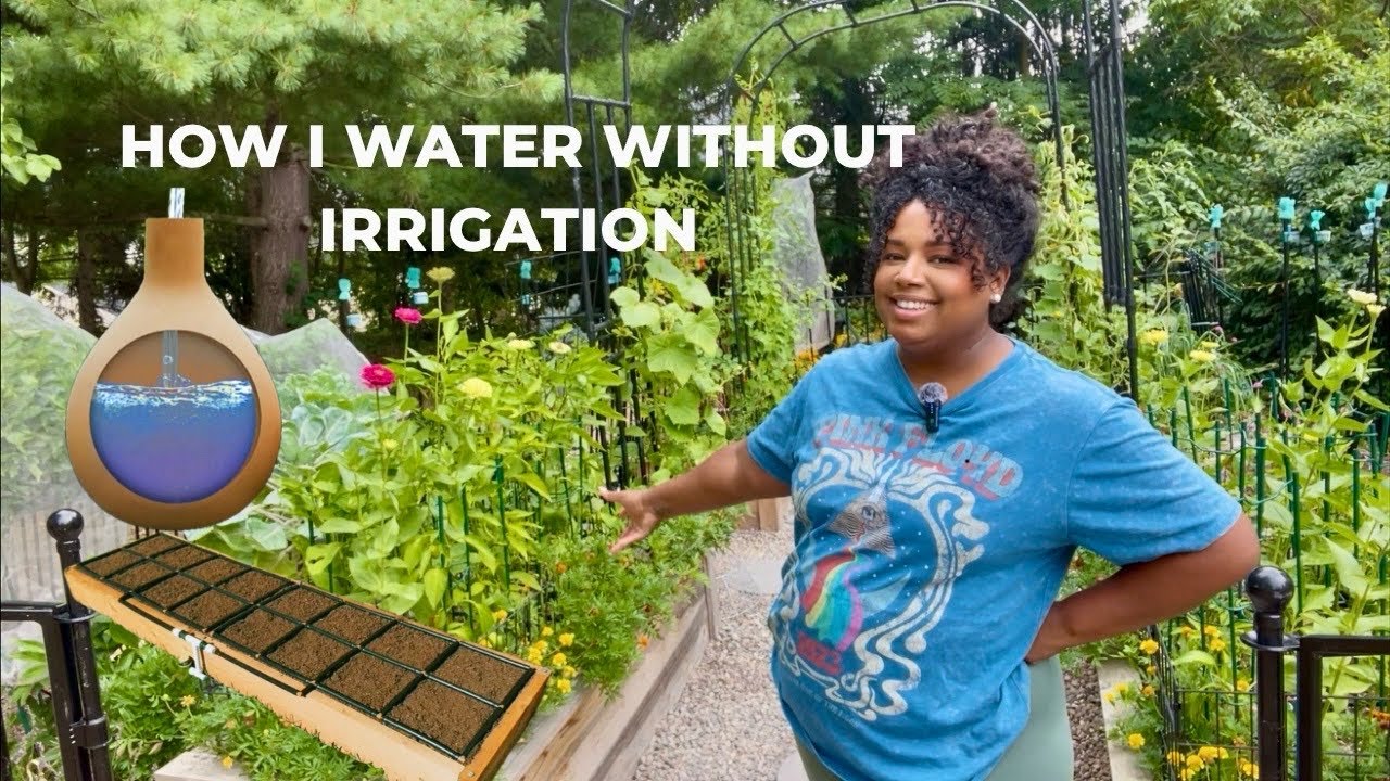 NO IRRIGATION || HOW I WATER MY GARDEN!💦#gardeninminutes #hoselink 