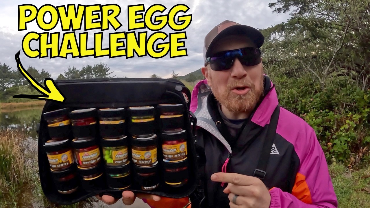 Ловля форели с использованием всех цветов приманок POWER Egg (невероятные результаты!)