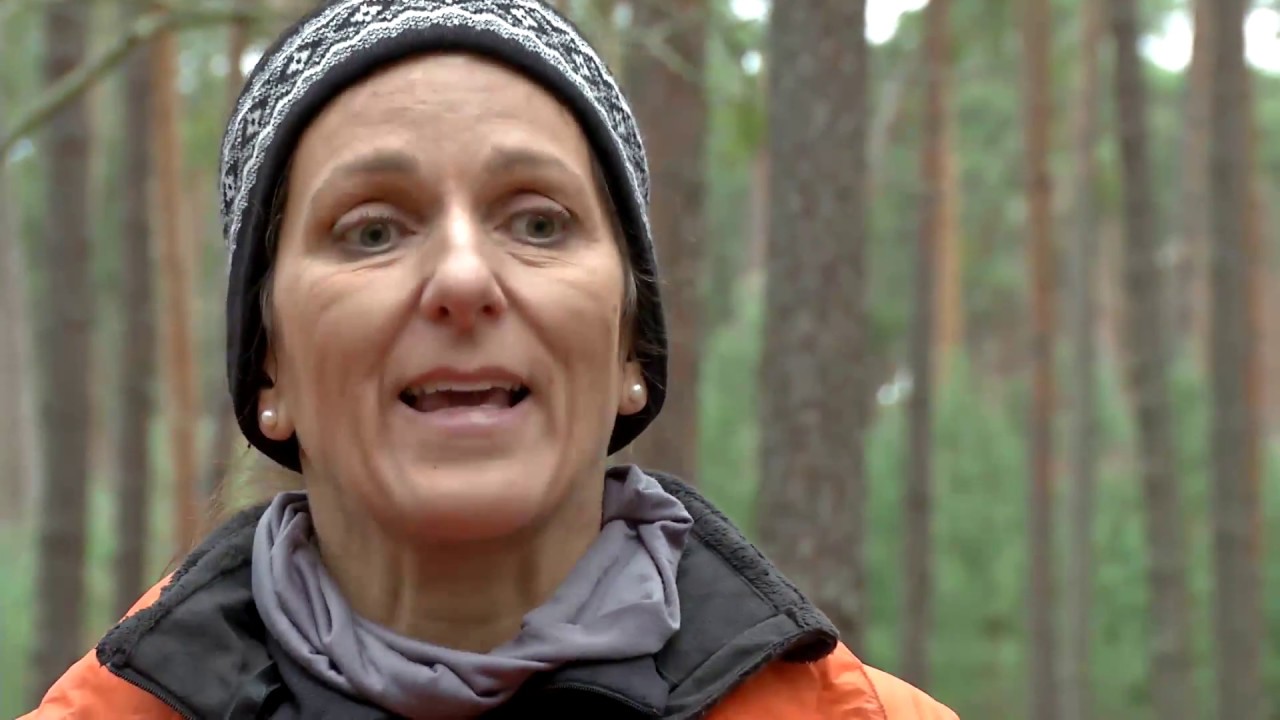 Sportlich: Nordic Walking