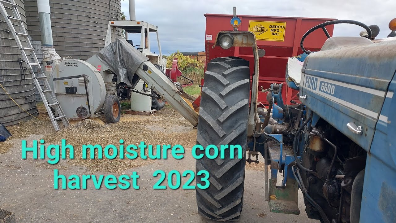 Putting up high moisture shell corn-2023