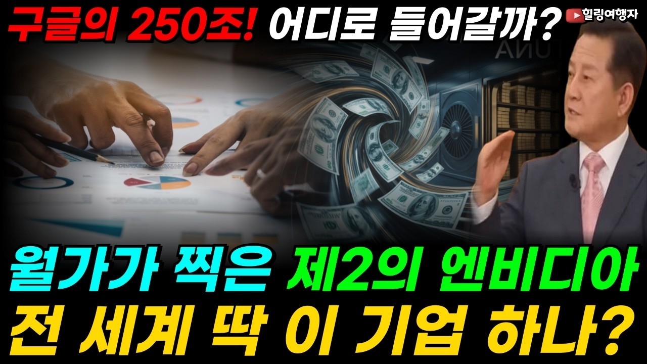 '젠슨 미안해!' 구글의 250조! 어디 주머니로 들어갈까  엔비디아 대항마  전 세계에 딱 이 기업 하나! 월가가 찍은 제2의 엔비디아는