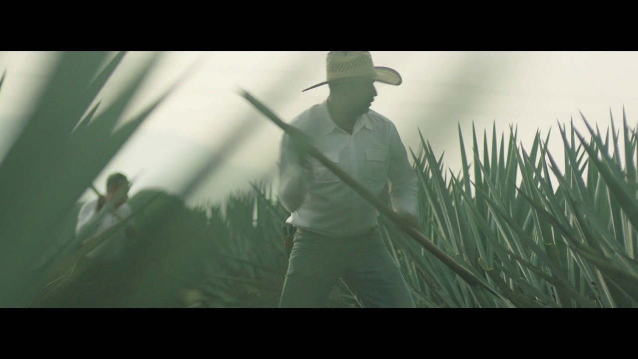 Tres Agaves - Agave 30s