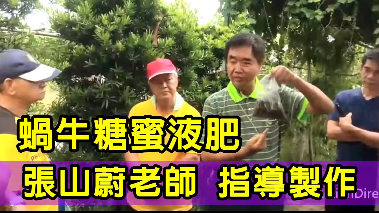 #張山蔚老師 指導製作#【蝸牛糖蜜液肥】