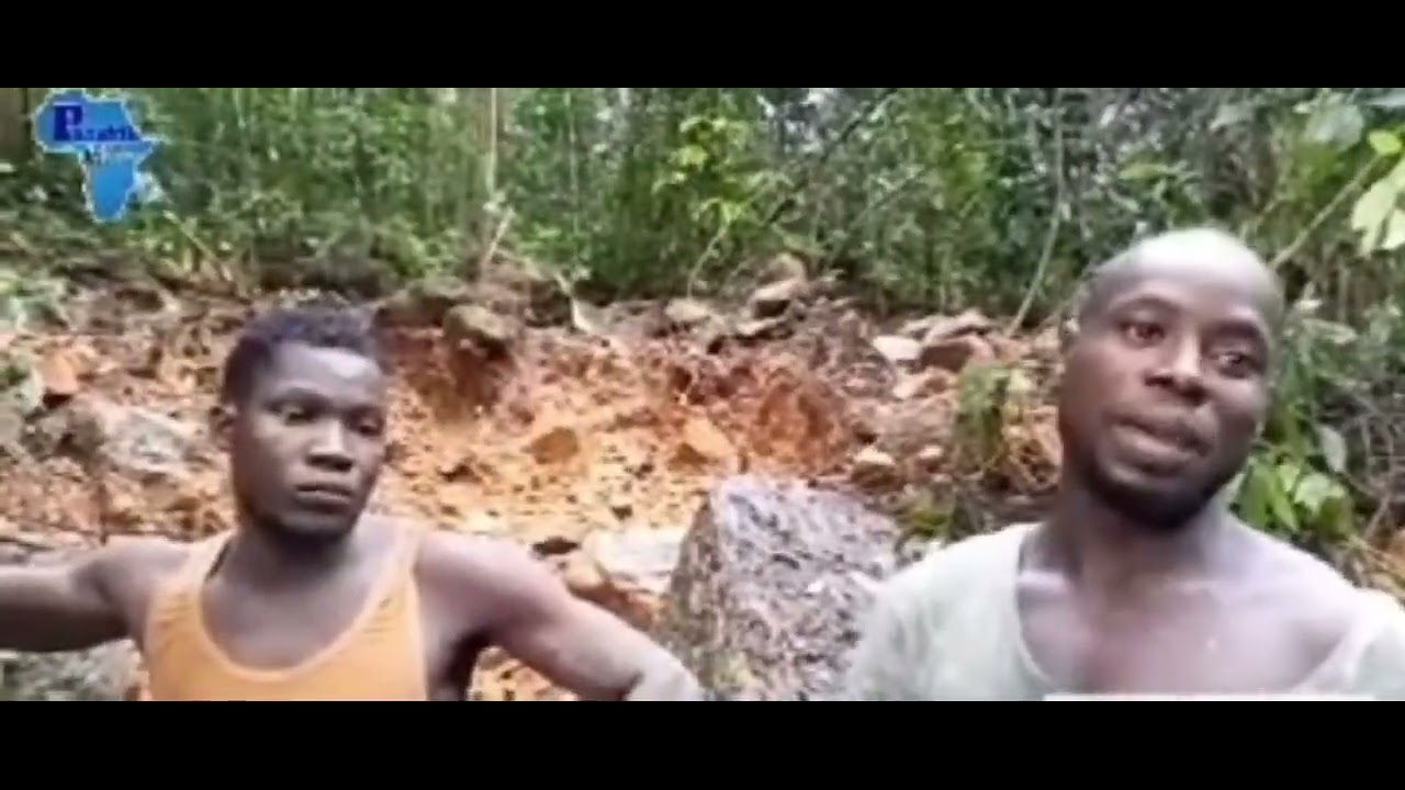 La #découverte d’un #campement d’#orpailleurs étrangers #Or #Exploitation #Ndjolé #MoyenOgooué