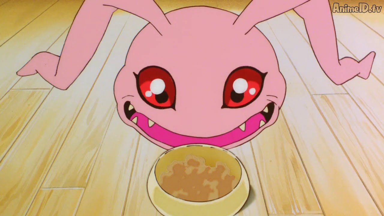 DIGIMON ADVENTURE Koromon vs el gato de Taichi - Sub espa&ntilde;ol