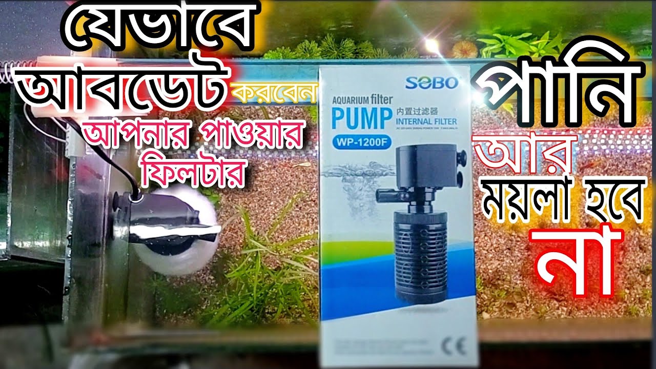 একুরিয়ামের পানি আর ময়লা হবে না🤔।পাওয়ার ফিলটার আবডেট করেনিন খুব সহজেই 😉