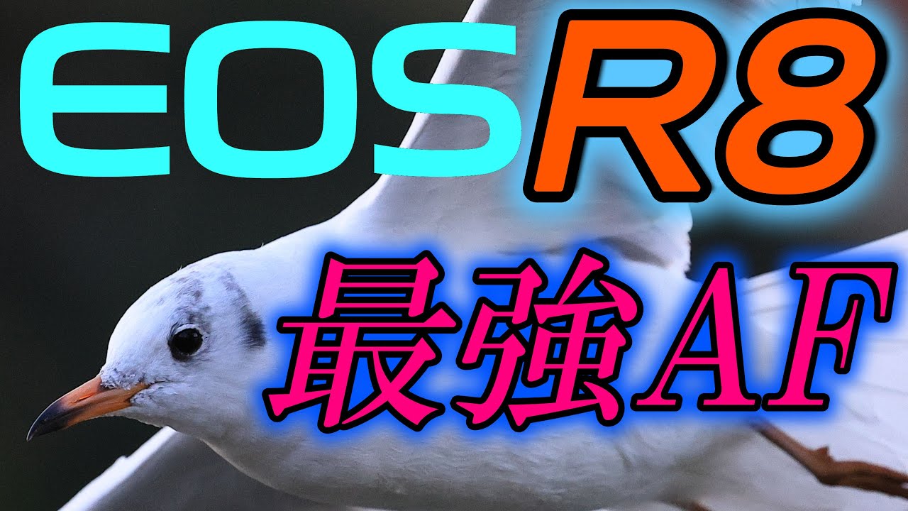 EOS R8, самый мощный автофокус