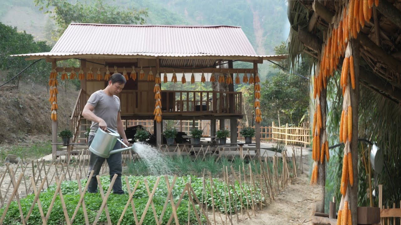 Single Dad: Dad (Jack) harvests bananas and makes a flower stand for his little daughter Tieu Vy.