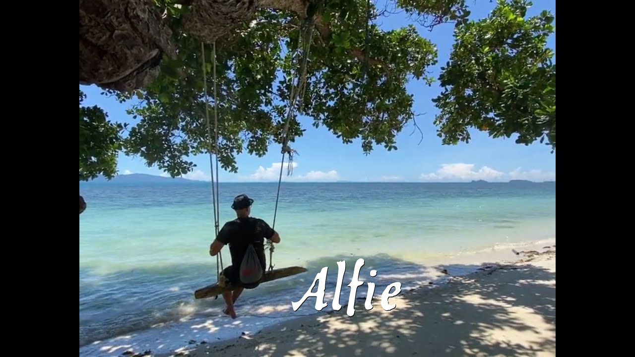 Alfie....Sax Cover by Wuffy on Tenor-Saxophone 