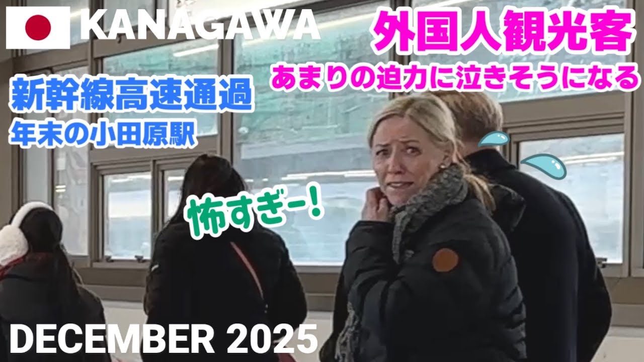【海外の反応】圧巻の新幹線高速通過に泣きそうになる! 外国人観光客初めての体験🇯🇵