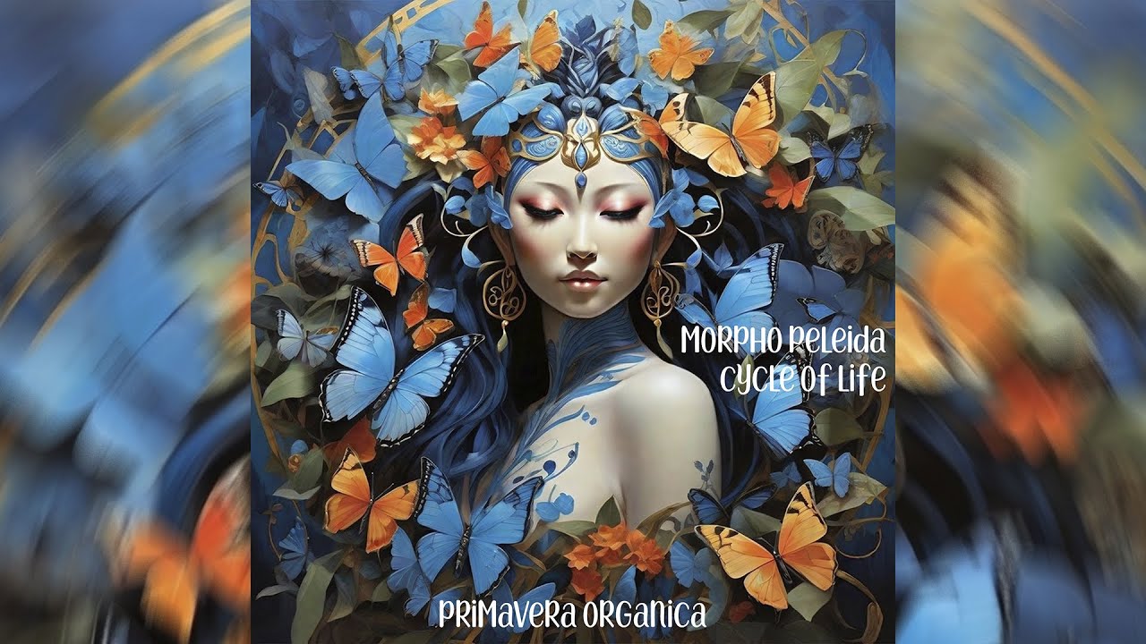 Morpho Peleida - Cycle of Life (Original Mix)