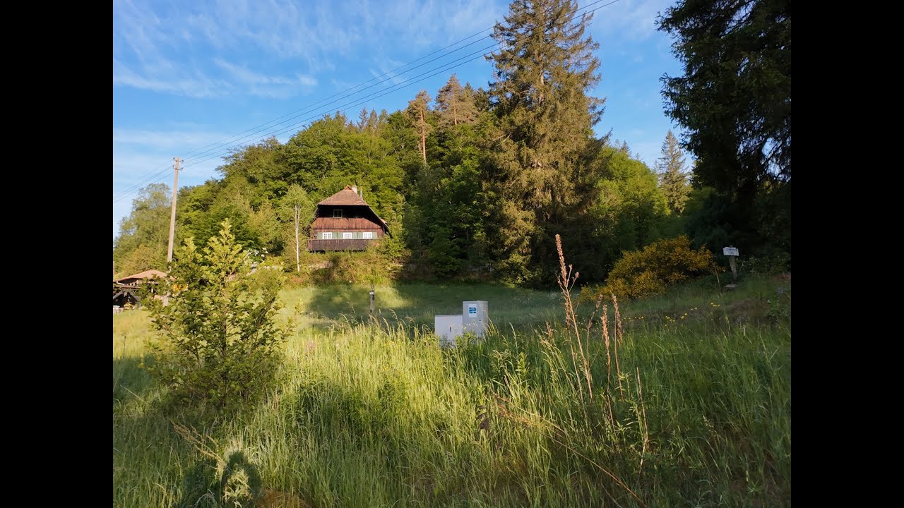 Wanderung im Schwarzwald durchs Eyachtal