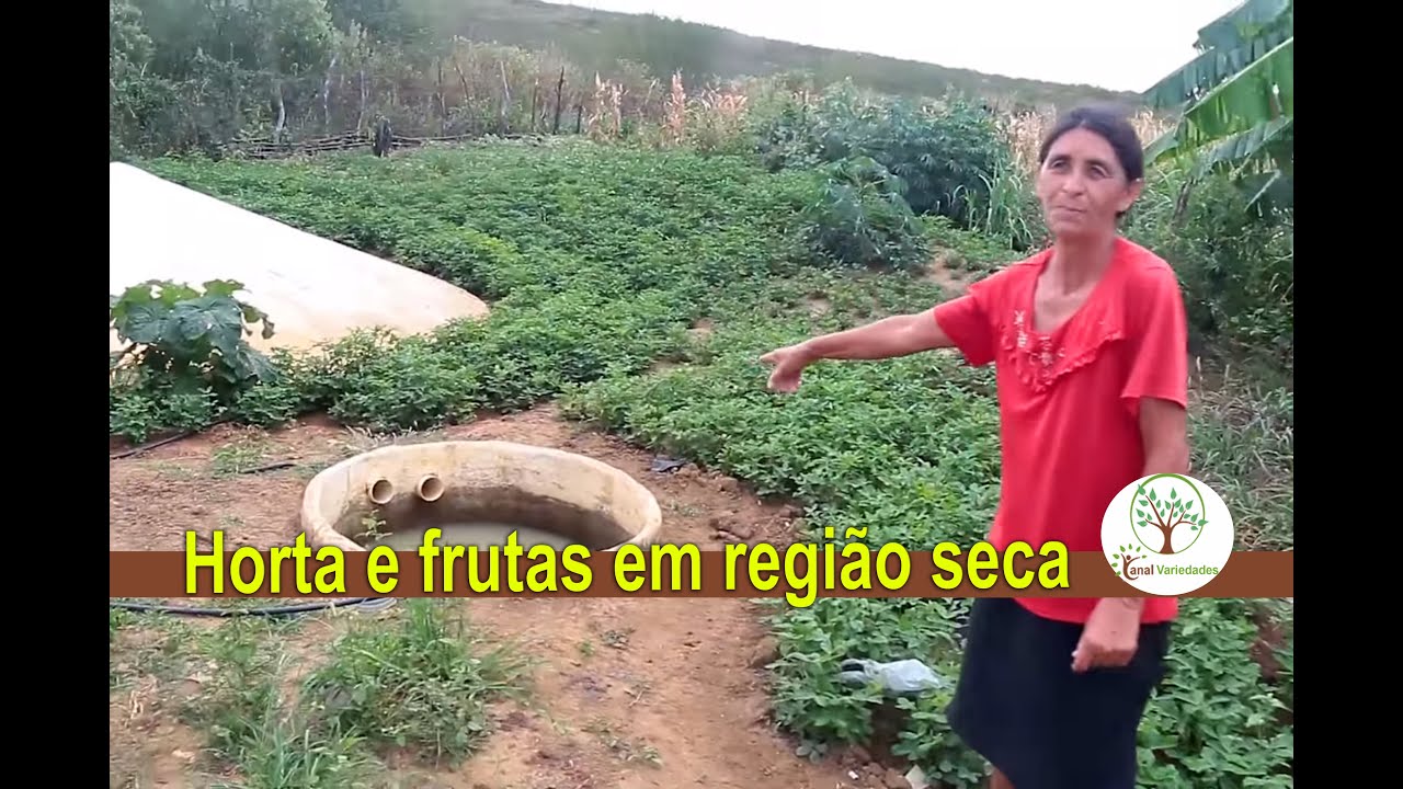 Cultivar horta e frutas em região seca 1/2 Plantar em Casa
