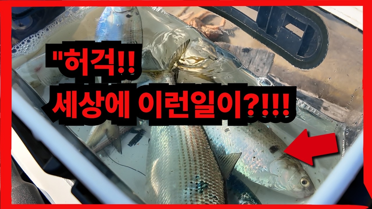 Sacheon Bito Fishing Park wasted trip&hellip; The Legendary Fishing Story of Namhae Mijo Port Boat Fishing