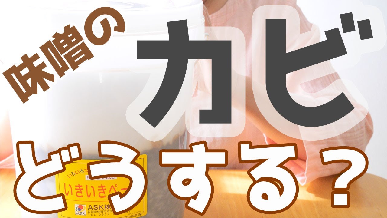 【手前味噌講座】味噌のカビを防ぐ方法・カビのお手入れ・カビを理解する　ゆるゆる味噌レッスン#1