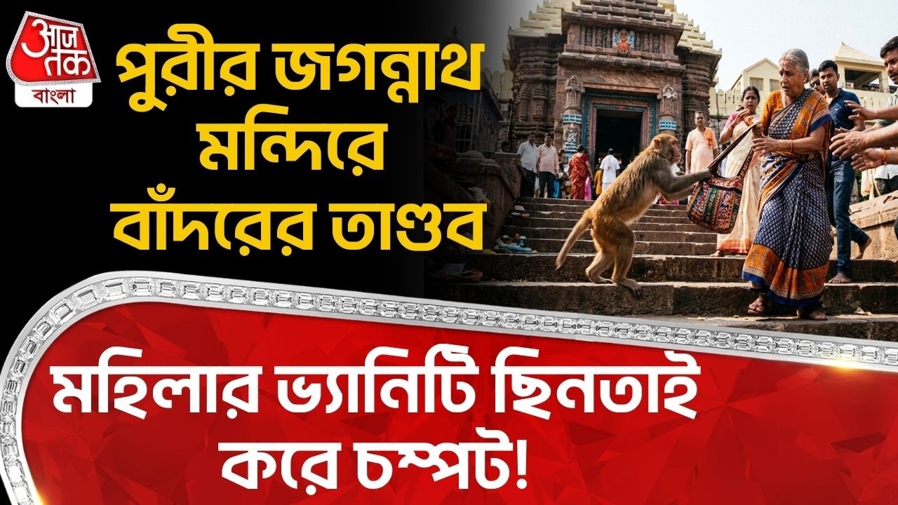 পুরীর Jagannath Temple এ বাঁদরের তাণ্ডব, মহিলার ভ্যানিটি ছিনতাই করে চম্পট! Monkey Viral Video | Puri