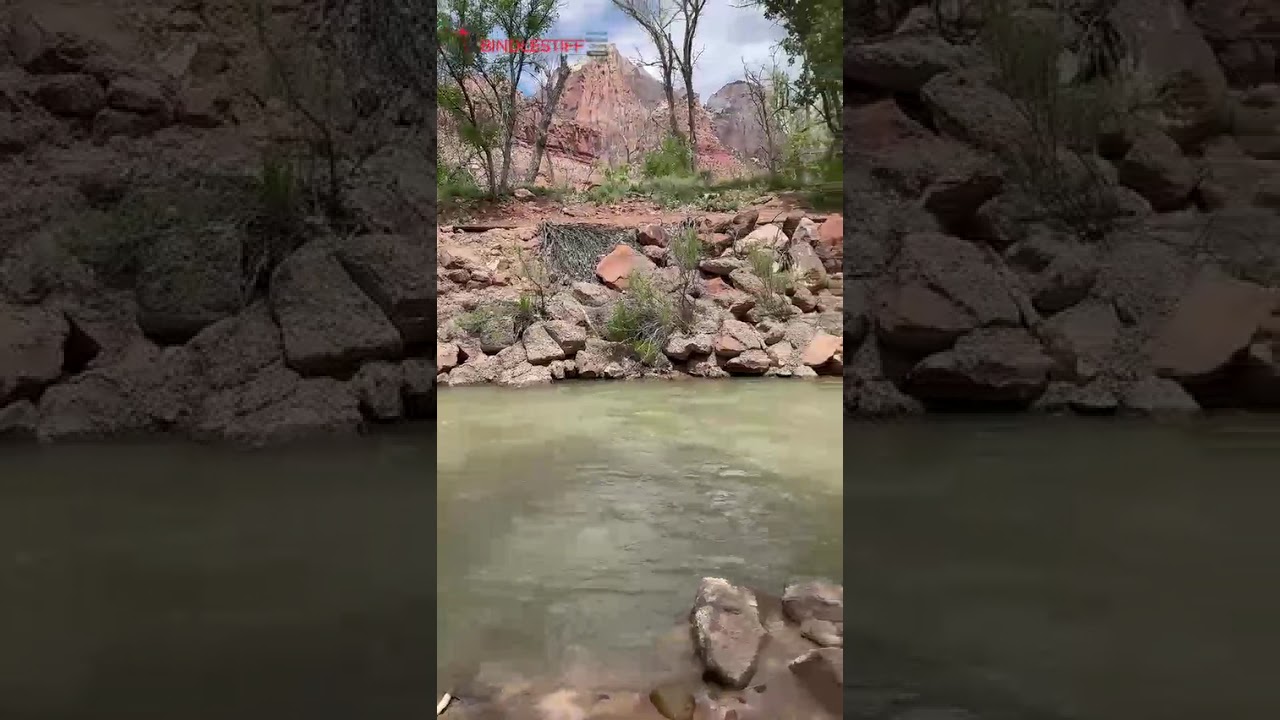 Exploring Virgin River, Zion National Park, Utah, Bindlestiff Tours from Guide L. 🏞️