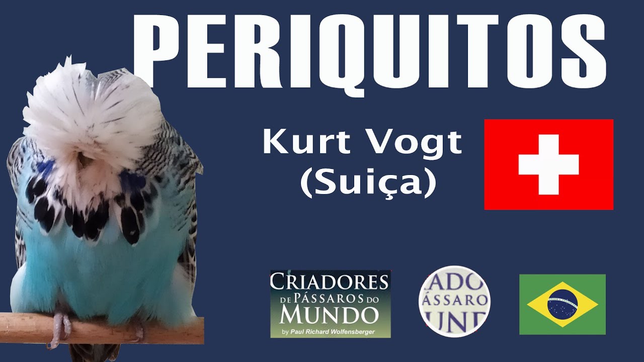 Criadouro Kurt Vogt - Periquitos
