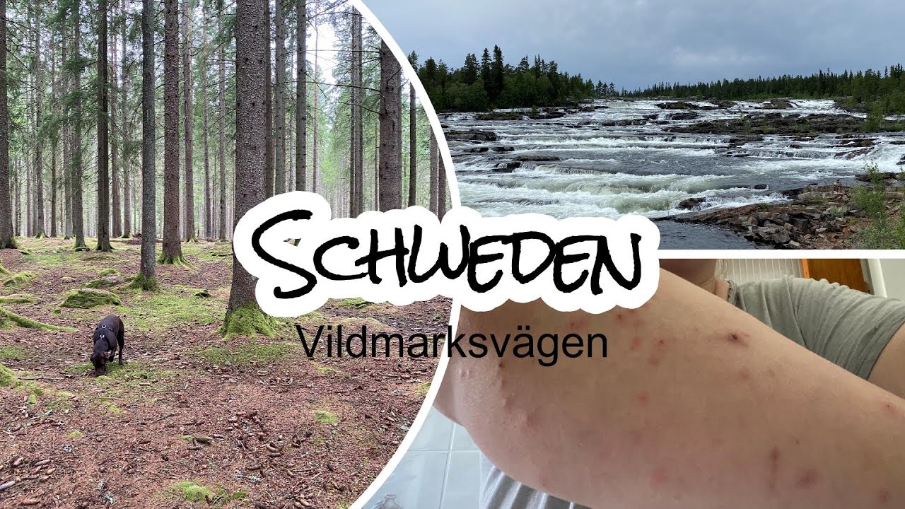 Michel, Mücken und der Vildmarksvägen! Mit dem Micro-Camper durch Schweden