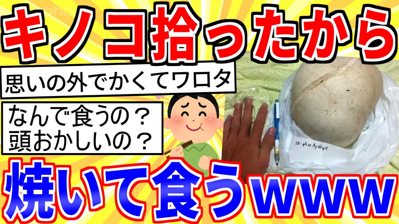 【2ch面白いスレ】めっちょ大きいキノコ拾ったから焼いて食うｗｗｗ【ゆっくり解説】
