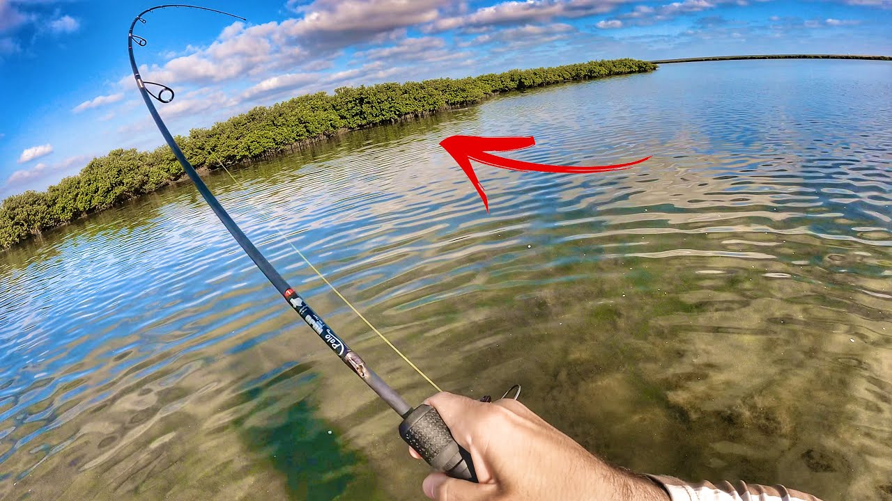 Wade FISHING SOUTH PADRE ISLAND for STX REDFISH (South Bay)