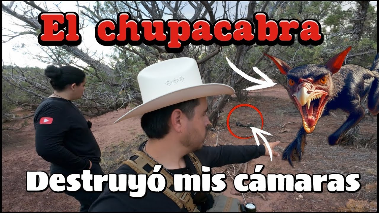 El chupacabra destruyó mis cámaras 