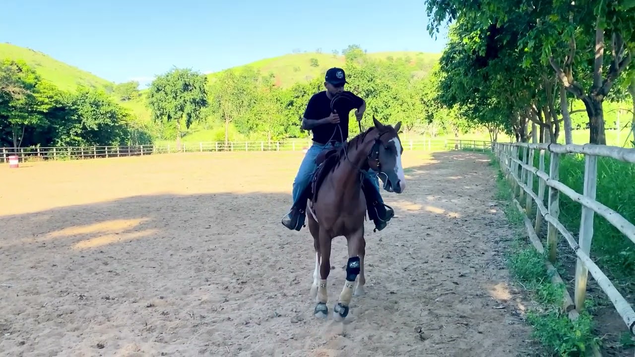 O QUE É SPIN? APRENDA COMO GIRAR CAVALO