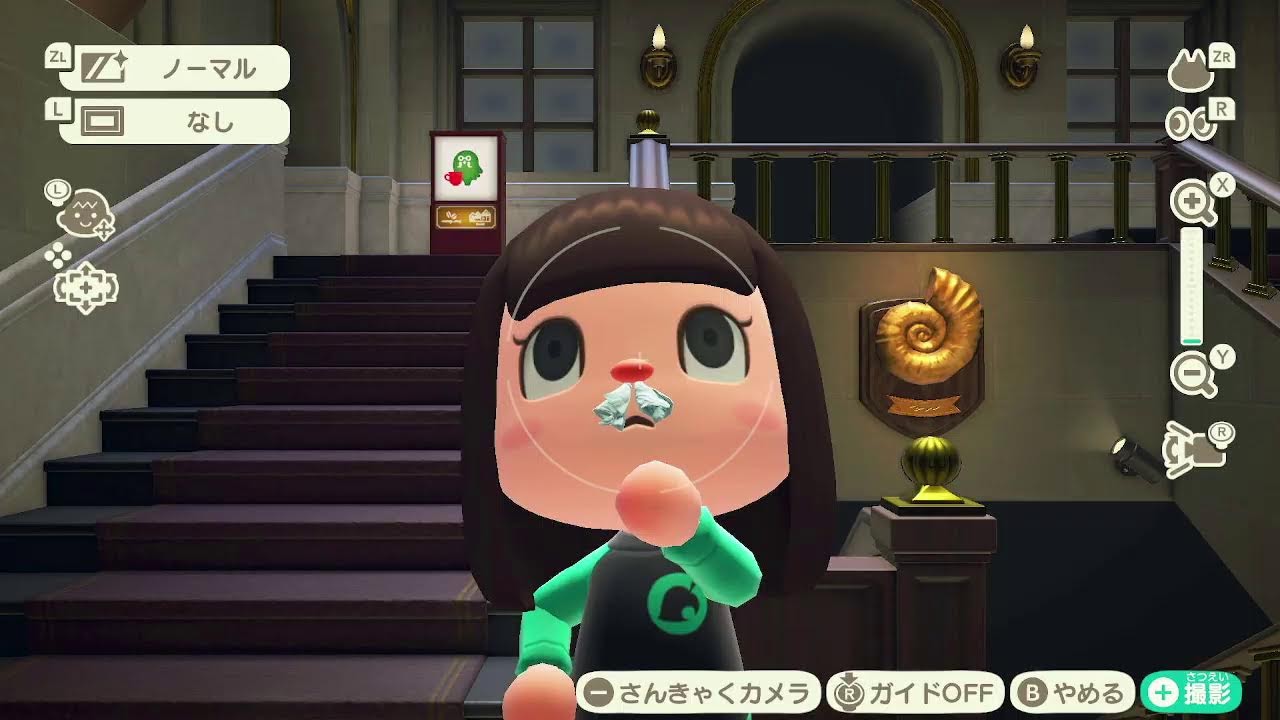 寝る前ちょこっとどうぶつの森