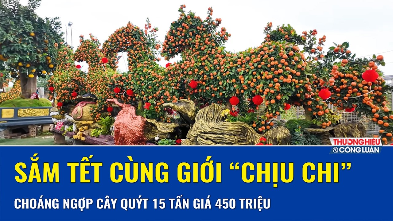 Choáng ngợp thú chơi cây Tết của “nhà giàu” dịp Bính Ngọ 2026 với cây quýt 15 tấn giá 450 triệu đồng