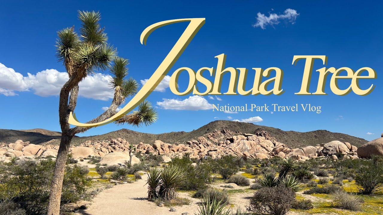 조슈아트리 국립공원 | Joshua Tree National Park | LA근교 1박2일 당일치기 여행 추천 | 오토캠프 Autocamp 조슈아트리 | 미국 로드트립 브이로그