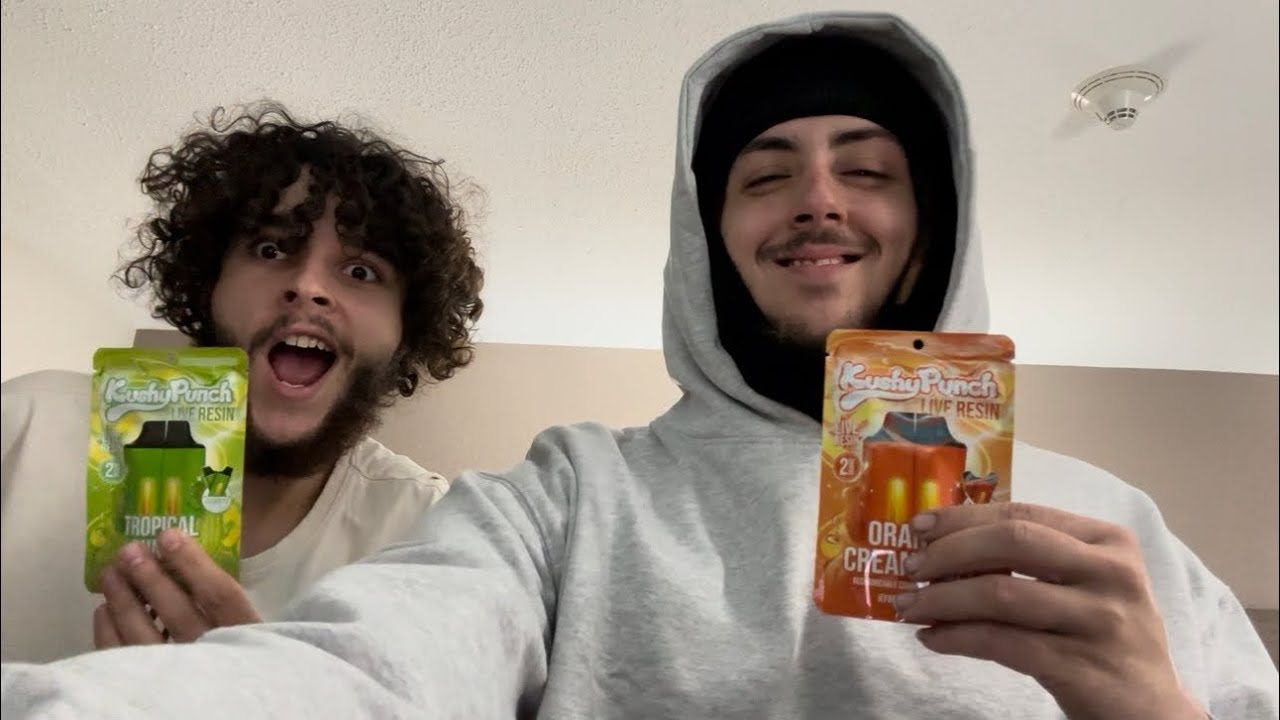 Kushy Punch Review x2