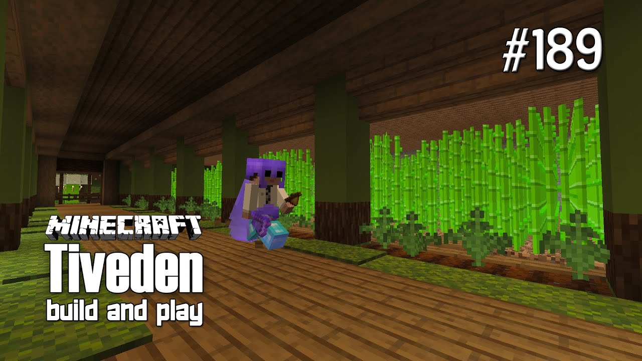 Minecraft Build & Play - Tiveden 189 - Fireworks And The Quest For More Paper / Sugar Cane